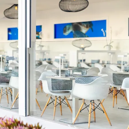 Szálloda Hovima Cool (adults Only) 4*