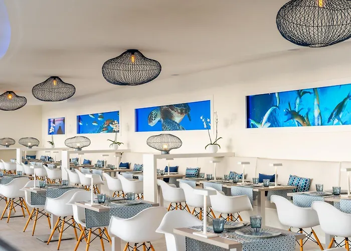 Otel Hovima Cool (adults Only)